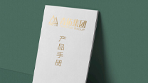 dh2-01 产品手册